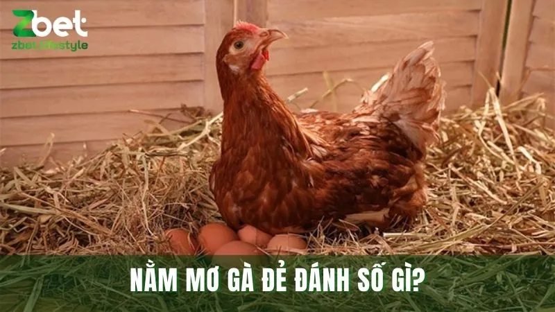 Chiêm bao thấy gà đẻ nên đánh con gì