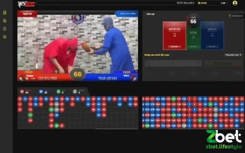 Live trực tiếp trận đấu từ trường gà với đồ hoạ HD