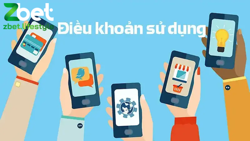 Giới thiệu tổng quan về điều khoản điều kiện Zbet
