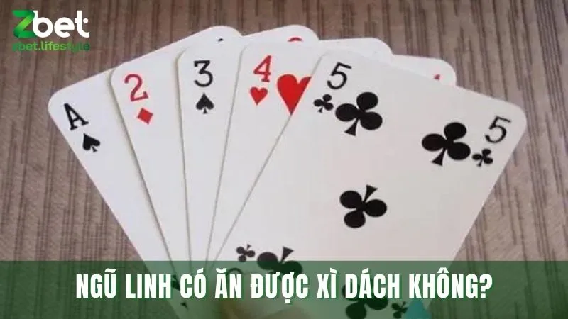Ngũ linh có ăn được xì dách không tùy thuộc vào nhà cái