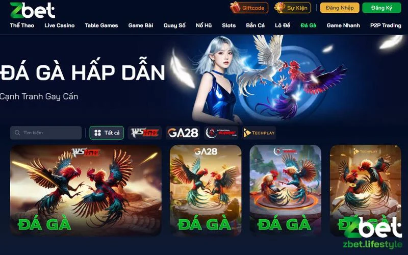 Theo dõi các trận đấu đá gà đỉnh cao tại Zbet